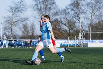 Bild 279 - F Hamburger SV 3 - Blau-Weiss 96 : Ergebnis: 5:1